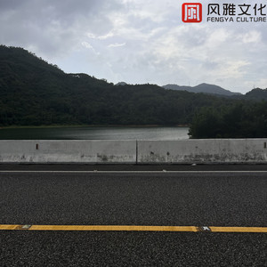 成年女人毛片免费观看中文
